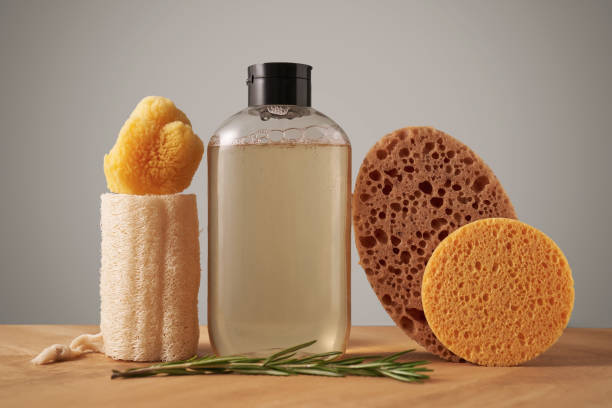 Composition of body gel and natural sponges. high quality photo.